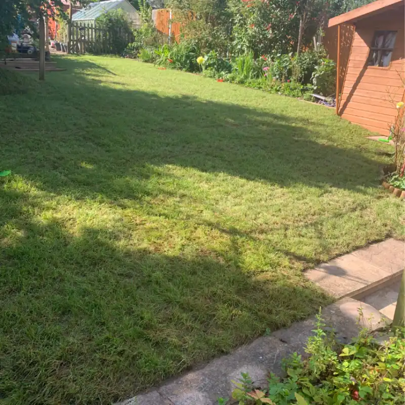 image - 2026-08-15T202931